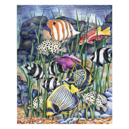 Рисуване по номера с цветни моливи 22х30 - Тропически риби