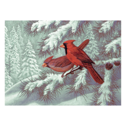 Рисуване по номера с акрилни бои - Adult за напреднали - 39х30 - Северни кардинали
