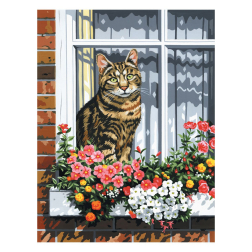 Рисуване по номера с акрилни бои върху платно - 23х30 - Котка на прозорец