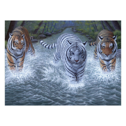 Рисуване по номера с акрилни бои Junior Large - 39х30 - Тигри