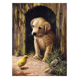 Рисуване по номера с акрилни бои Junior - 22х30 - Кученце и пиле