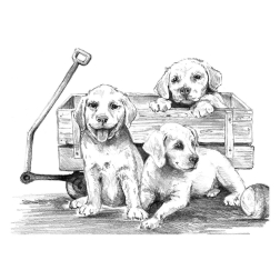 Рисуване графика 29х39 - Кученца в количка