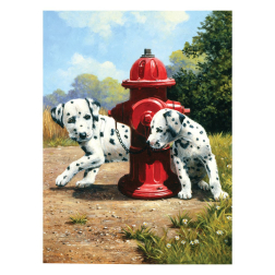 Рисуване по номера с акрилни бои Junior-22,2 х 29,8 см."Кученци-далматинци"