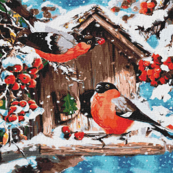 Рисуване по номера с акрилни бои върху платно на подрамка - 40 х 40 - Ярки снежни птици
