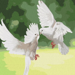 Рисуване по номера с акрилни бои върху платно на подрамка - 40 х 40 - Бели гълъби