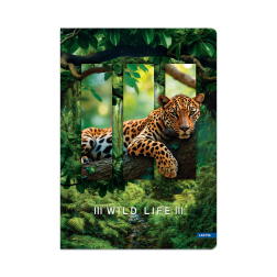 Тетрадка твърди корици, А4, 96л., офсет-ред - Wild life