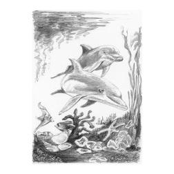 Рисуване графика 14х18 - Делфини