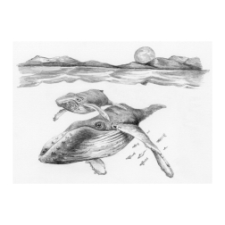 Рисуване графика 14х18 - Китове