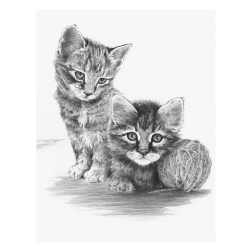 Рисуване графика 23х30 - Котенца