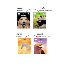 Блокнот спирала А5, офсет, 70л. корица 250г. двустранна визия - Animal