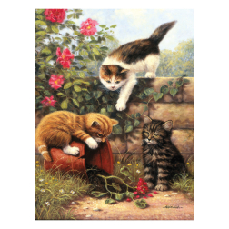 Рисуване по номера с акрилни бои Junior - 22х30 - Игриви котета