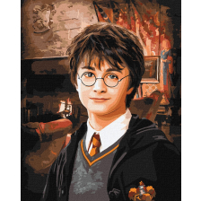 Рисуване по номера с акрилни металик бои върху платно на подрамка Harry Potter 40х50 см.